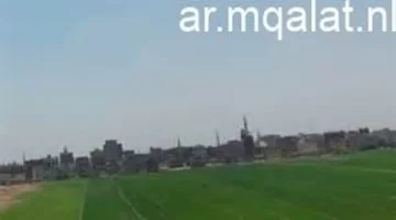 تقلبات جوية مفاجئة.. طقس الساعات المقبلة يشهد ارتفاع الحرارة ونشاط الأتربة العالقة